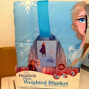 Disney Frozen II Blue Plush weighted Blanket